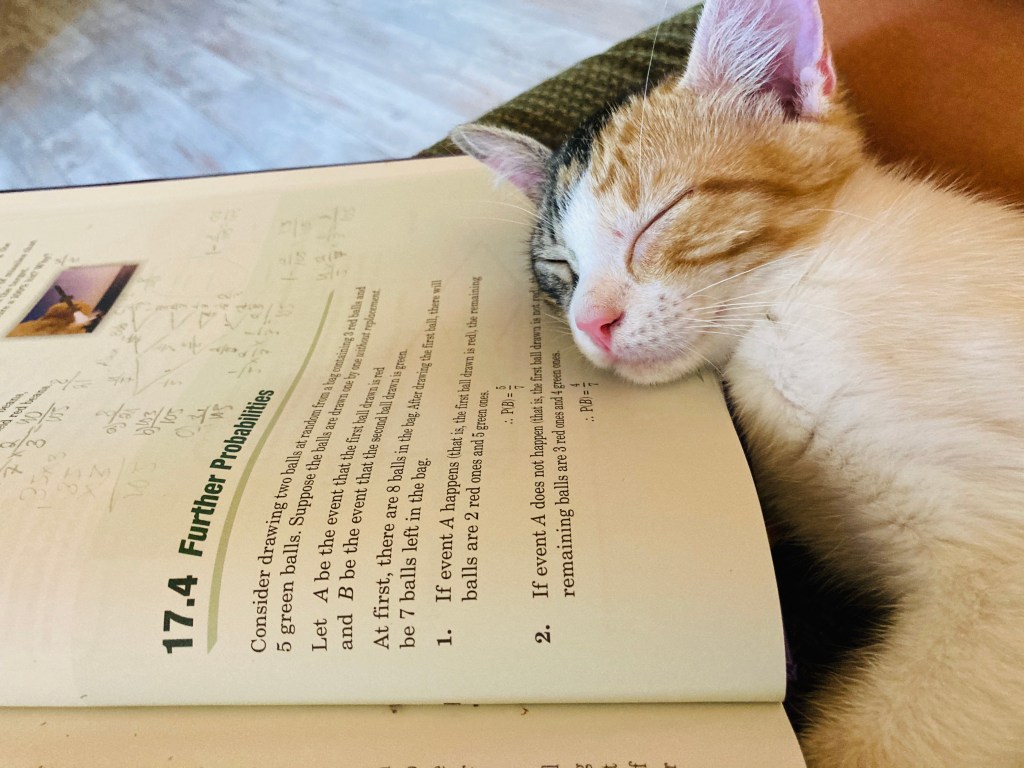 This image has an empty alt attribute; its file name is 3863a43e-a280-472b-8783-280a5eca6900_1_201_a.jpeg