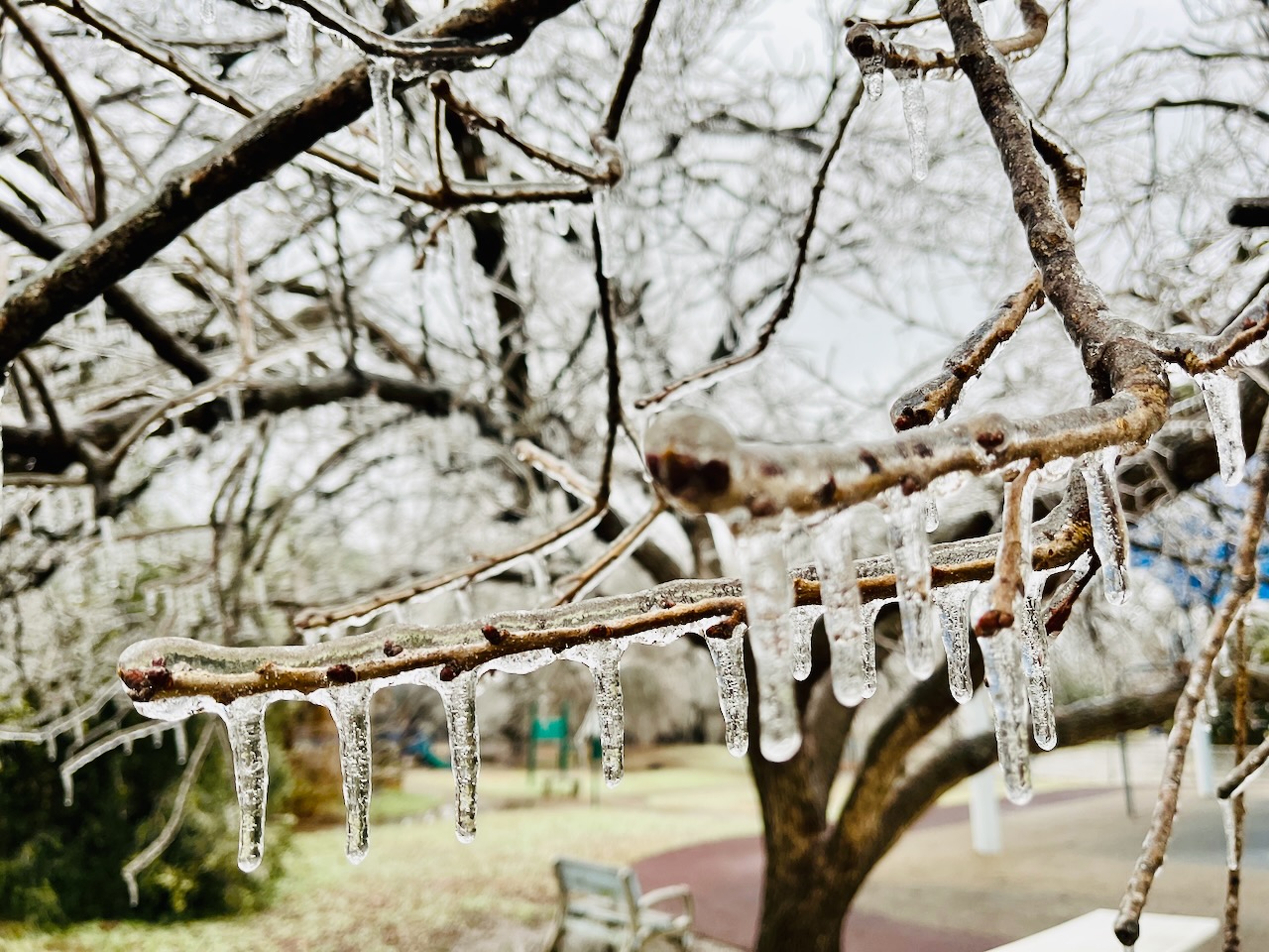 Spring – Notes from Dad